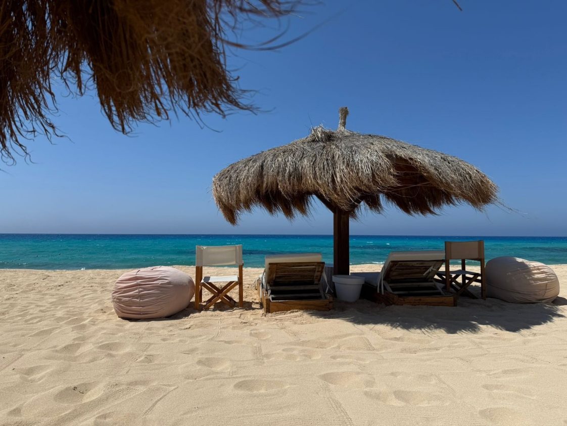 دي باي - صورة 2